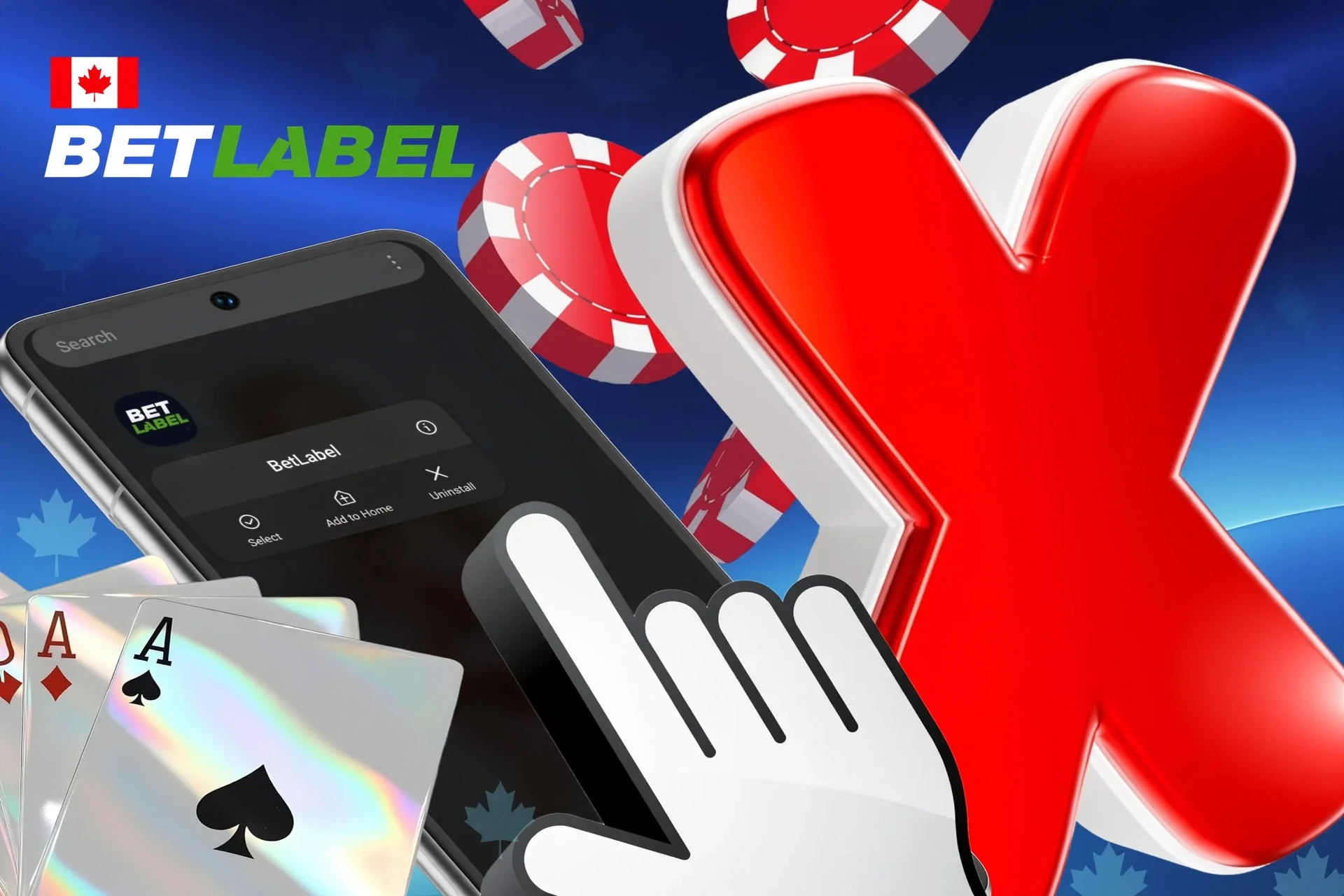 Description of BetLabel account deletion procedure via customer support